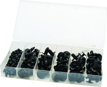 Load image into Gallery viewer, Photo - Primary