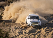 Load image into Gallery viewer, fox-stock-photo-ranger-a-ls.jpg