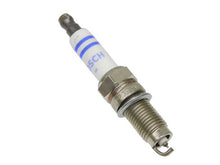 Load image into Gallery viewer, SSFImages-062623