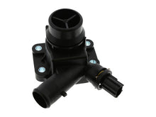 Load image into Gallery viewer, SSFImages-062623