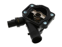 Load image into Gallery viewer, SSFImages-062623