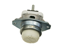 Load image into Gallery viewer, SSFImages-062623