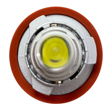 Load image into Gallery viewer, 1007526_2.jpg