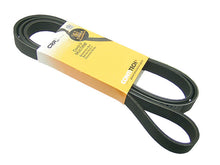 Load image into Gallery viewer, SSFImages-062623