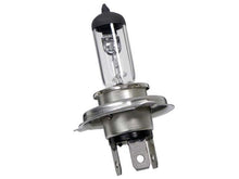 Load image into Gallery viewer, SSFImages-062623