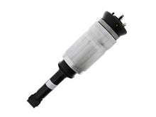 Load image into Gallery viewer, SSFImages-062623