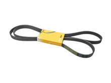 Load image into Gallery viewer, SSFImages-062623