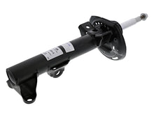 Load image into Gallery viewer, SSFImages-062623