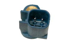 Load image into Gallery viewer, SSFImages-062623