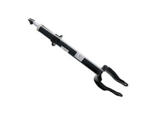 Load image into Gallery viewer, SSFImages-062623