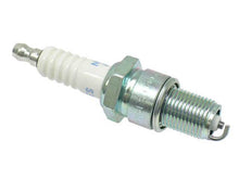 Load image into Gallery viewer, SSFImages-062623