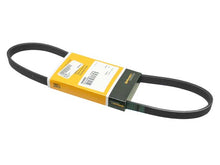 Load image into Gallery viewer, SSFImages-062623