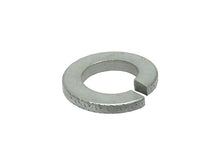 Load image into Gallery viewer, SSFImages-062623