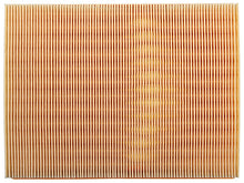 Load image into Gallery viewer, SSFImages-062623