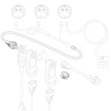 Load image into Gallery viewer, 66556_illo.jpg