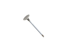 Load image into Gallery viewer, SSFImages-062623