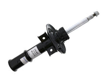 Load image into Gallery viewer, SSFImages-062623