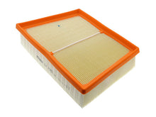 Load image into Gallery viewer, SSFImages-062623