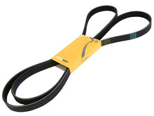 Load image into Gallery viewer, SSFImages-062623