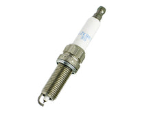 Load image into Gallery viewer, SSFImages-062623