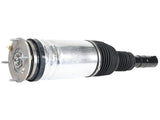 BWI Group Air Suspension Strut