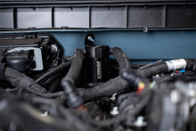 Load image into Gallery viewer, CC0012_b_lowres.jpg