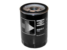 Load image into Gallery viewer, SSFImages-062623