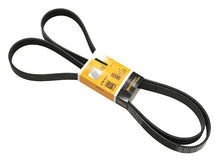 Load image into Gallery viewer, SSFImages-062623