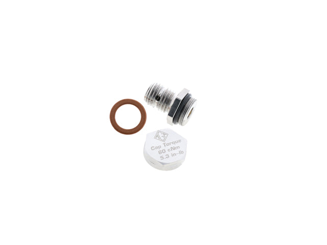 Engine Oil Drain Plug