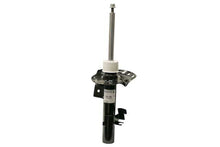 Load image into Gallery viewer, SSFImages-062623