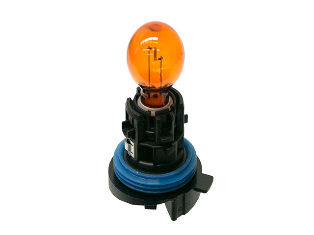Bulb