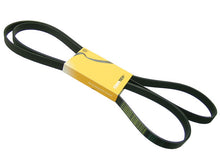 Load image into Gallery viewer, SSFImages-062623