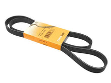 Load image into Gallery viewer, SSFImages-062623