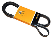 Load image into Gallery viewer, SSFImages-062623