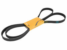 Load image into Gallery viewer, SSFImages-062623