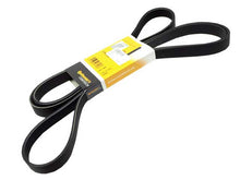 Load image into Gallery viewer, SSFImages-062623