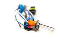 Load image into Gallery viewer, H11B-SB-RB_4.jpg