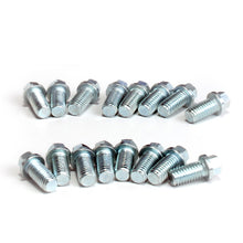 Load image into Gallery viewer, BBK Performance Exhaust Header Bolt Kit - Ford Sbf 302/351 3/8 (16 Pcs)