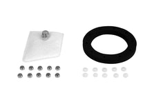 Load image into Gallery viewer, Aeromotive Replacement Strainer &amp; Gasket, Phantom Flex 18310